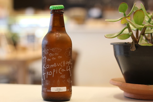 kombucha v lahvi